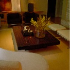 MCASSAR COFFEE TABLE2