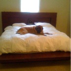 KING BED3